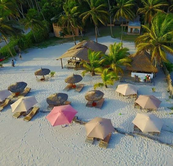 Strohschirme und Liegen auf weißem Sand unter Kokospalmen