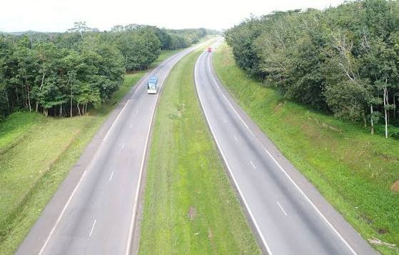 Zweispurige Autobahn mit Grünstreifen zwischen dichtem Wald
