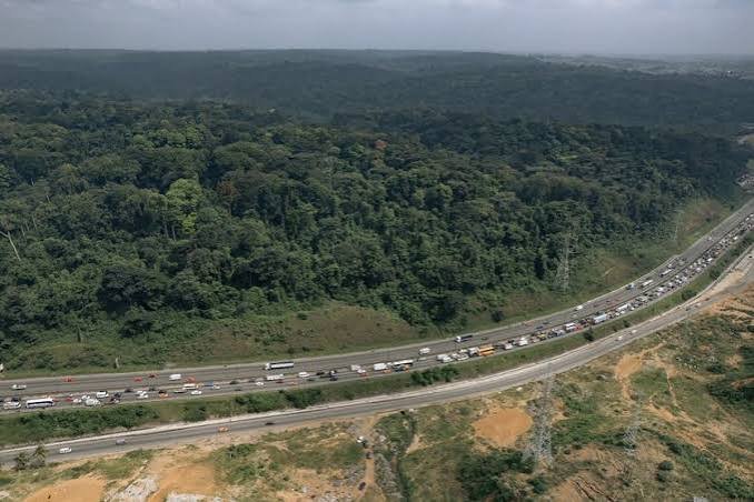 Fernstraße führt am Rand eines dichten Waldgebiets entlang