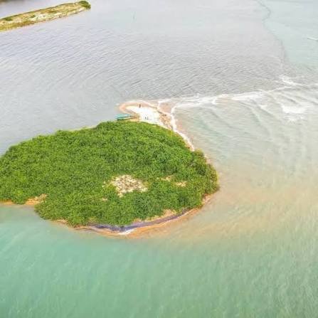 Luftbild einer bewachsenen Insel an der Mündung, wo Lagune und Meer aufeinandertreffen
