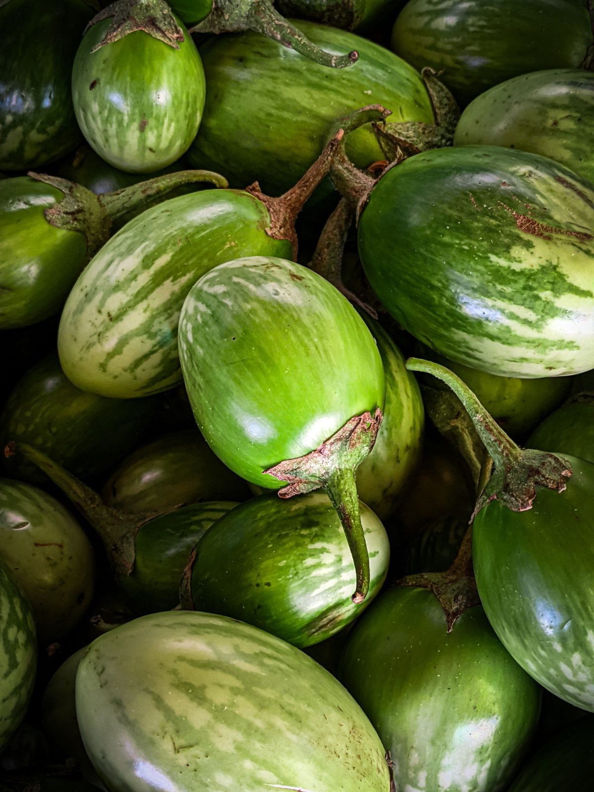 Grün gestreifte kleine Auberginen