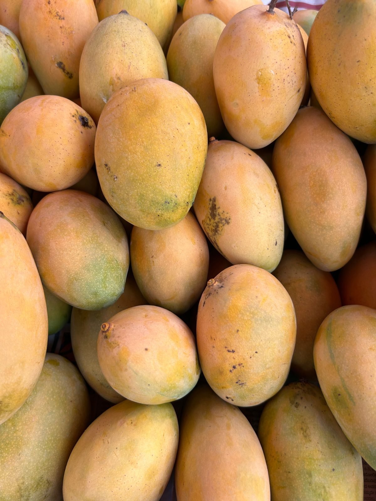 Reife gelbe Mangos