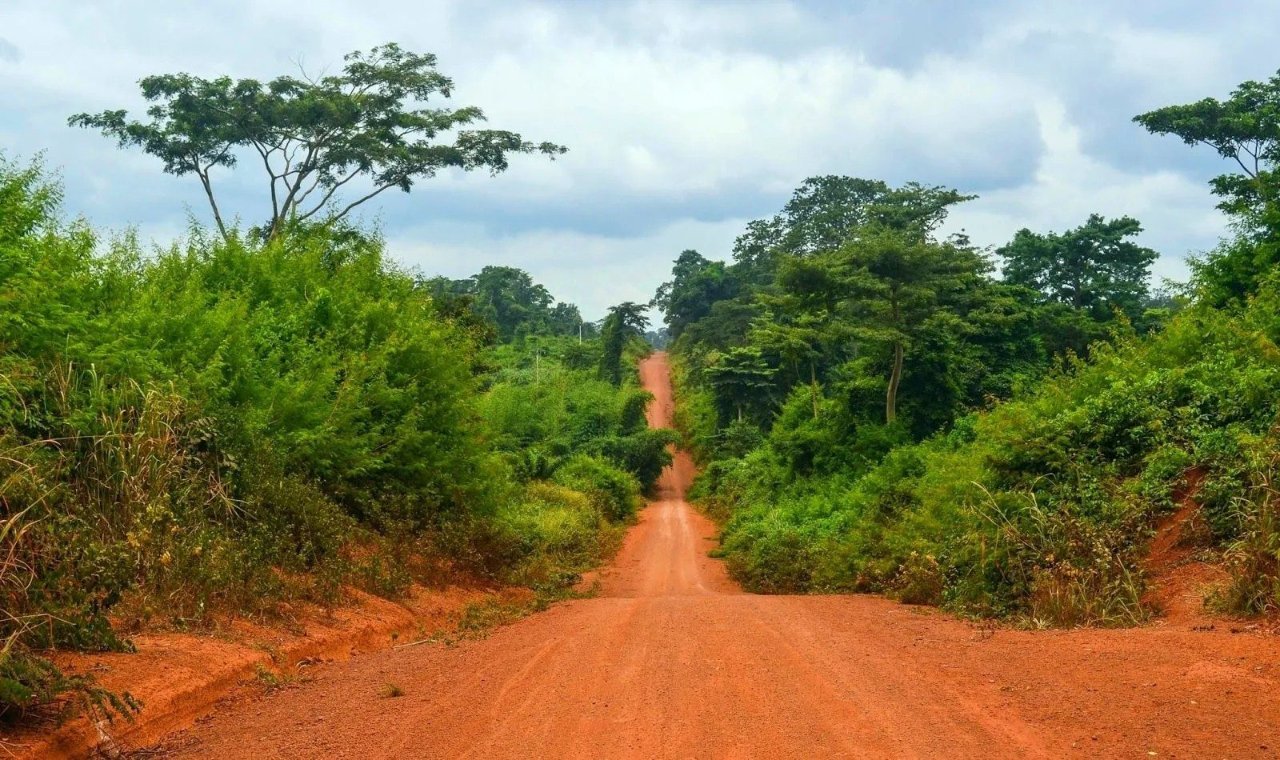 Rote Piste durch den Wald