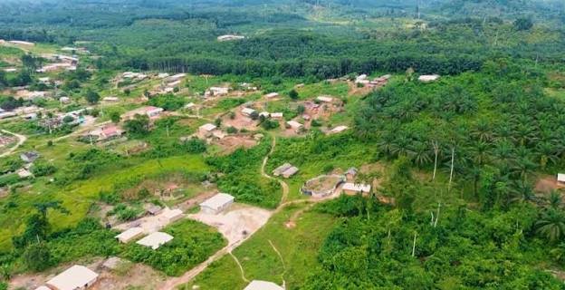 Luftbild eines Dorfes zwischen Ölpalmen und Wald