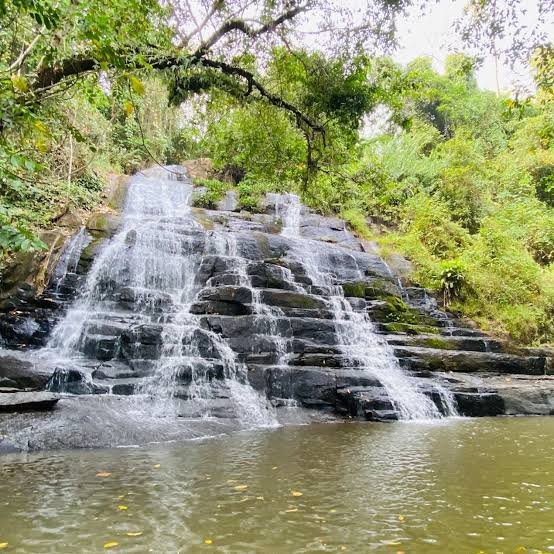 Wasserfall über Felsstufen im dichten Grün